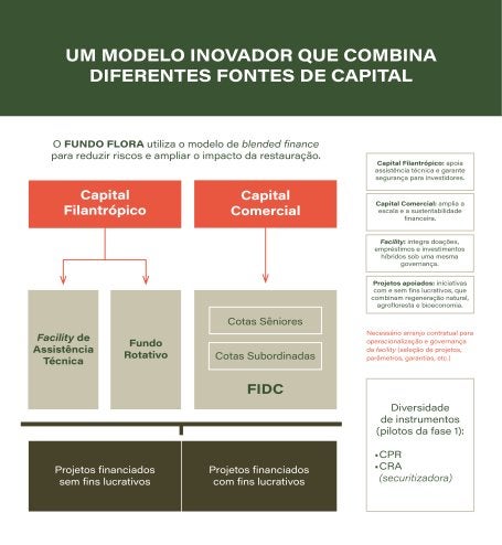 Gráfico modelo inovador 