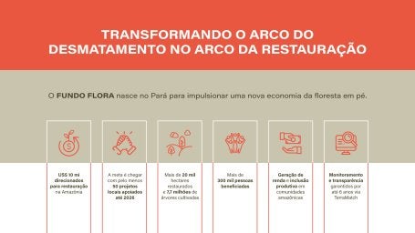 Gráfico do arco do desmatamento 