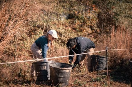 Voluntários da Trees Atlanta realizam o manejo e manutenção das áreas plantadas ao longo da Atlanta Beltline. 