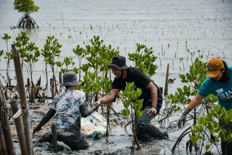 Foto mostra pessoas trabalhando na restauração de manguezais em Tangerang, na Indonésia.