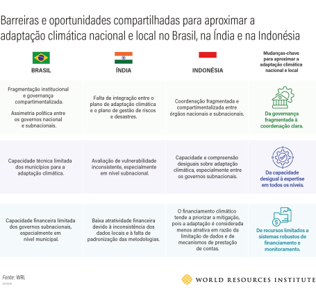 gráfico sobre integração vertical no Brasil, na Índia e na Indonésia