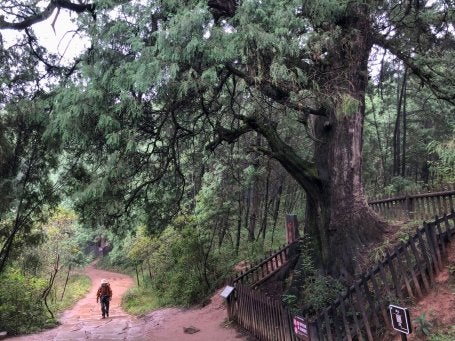 A hiker walks along the ancient Shu Road in China's Sichuan Province. China reports it has met its goal to grow forest stock ahead of its 2030 NDC goal.
