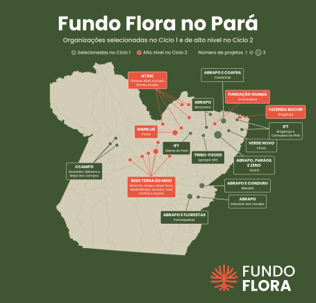 Atualização Fundo Flora 