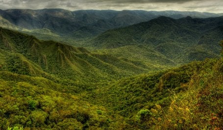 Parque Nacional da Serra do Gandarela conserva parte da Mata Atlântica (foto: Federico Pereira/Flickr)