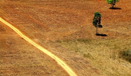 Por um mundo de baixo carbono: meta em Marrakech é estimular países a serem mais ambiciosos na redução das emissões de Gases de Efeito Estufa (GEE). (Foto: Ana_Cotta/Flickr)