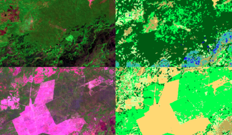 Nova coleção de mapas do MapBiomas mostra imagens de satélite sobre a cobertura vegetal e o uso do solo no Brasil. Na imagem, o Pantanal (Fonte: MapBiomas)