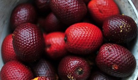 2017.10.02 wildfruits.jpg