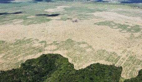 Paisagem florestal desmatada no Maranhão (Foto: Felipe Werneck/Ascom Ibama)