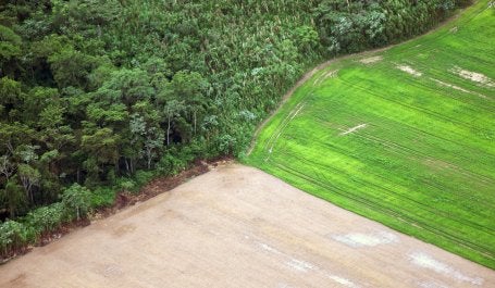 Desmatamento na Amazônia: contratempos ambientais aumentarão a pressão sobre a floresta (Foto: Sam Beebe/flickr)