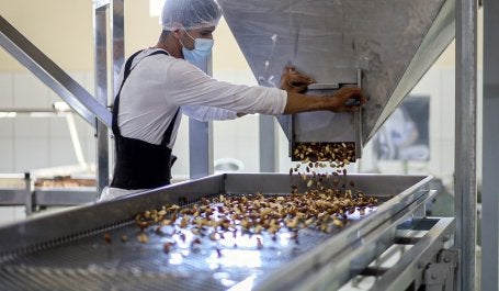 imagem de fábrica de processamento de castanha com homem trabalhando