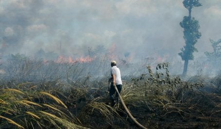 Homem apaga incêndio florestal em Borneu, Indonésia