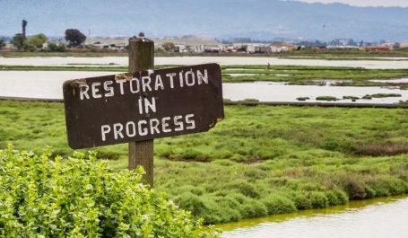 placa mostra os dizeres "restauração em andamento" com paisagem alagada ao fundo
