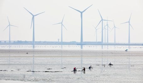 imagem mostra usinas de energia eólica em local alagado junto a pessoas ao fundo