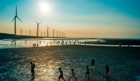 pessoas caminham próximas a usinas de energia eólica