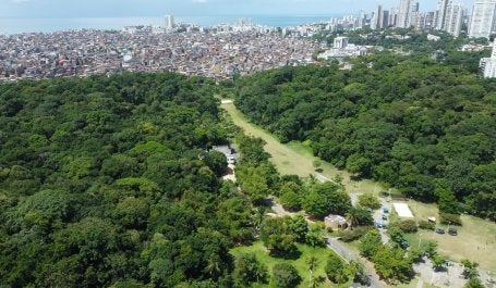 foto aérea de Salvador, com parque urbano, edificações precárias e prédios