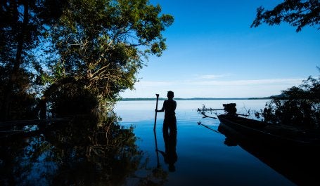 nova economia da amazônia