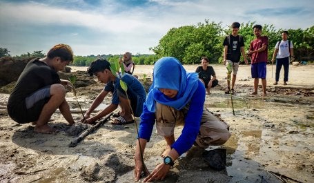 pessoas realizam restauração de manguezais