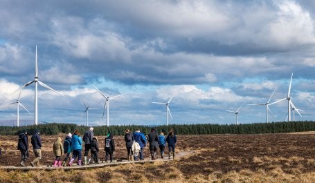 pessoas caminham próximas a usinas de energia eólica