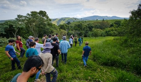 Foto da Aceleradora de Negócios Florestais em Socorro (SP). Pessoas caminham por uma passagem verde. Á frente delas, árvores. Ao fundo, e distante, um morro extenso. 