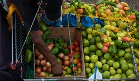 feira de rua, pessoa arruma os alimentos