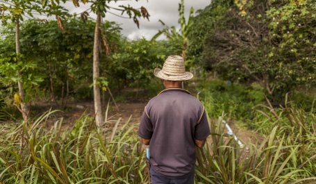 Homem em floresta na Caatinga