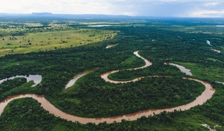 Visão geral de um rio no Pantanal, Brasil.