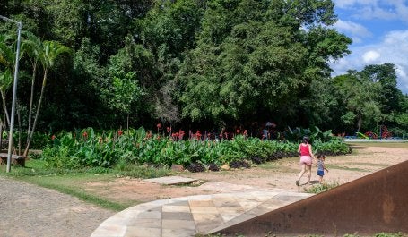 mulher com criança emparque