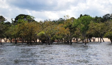 Foto de Manaus