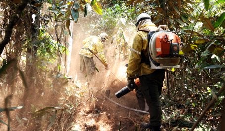 Brigada controla incêndio no DF