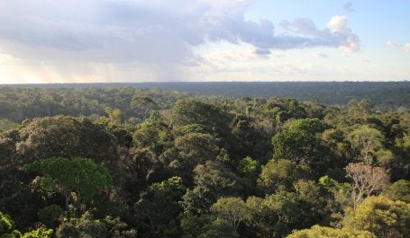 Foto: Joana Oliveira