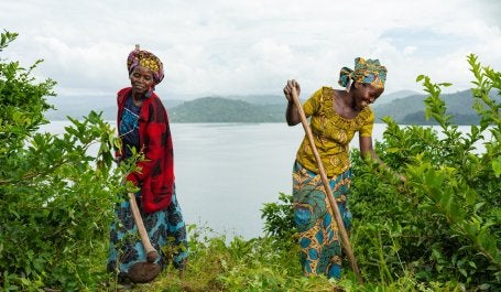 mulheres trabalham em restauração de ecossistemas em Ruanda