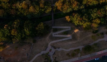 Vista área de um parque em Campinas mostrando árvores e um M desenhado no chão
