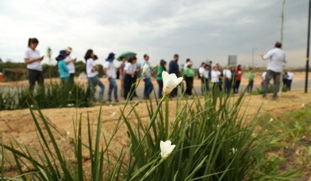 CETESB conhece iniciativas de SBN em Campinas