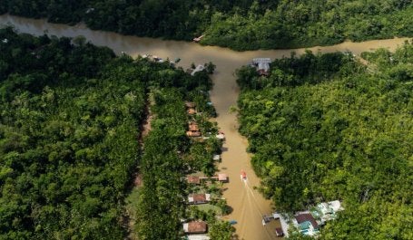 Vista área da Amazônia, mostrando um rio cercado por floresta