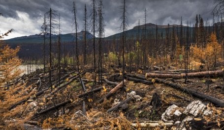 Incêndio florestal no Canadá