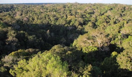 Foto tirada do alto da Amazônia 