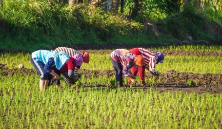 pessoas agachadas em uma paisagem rural