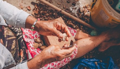 Foto ilustra mulher indígena manuseando castanhas