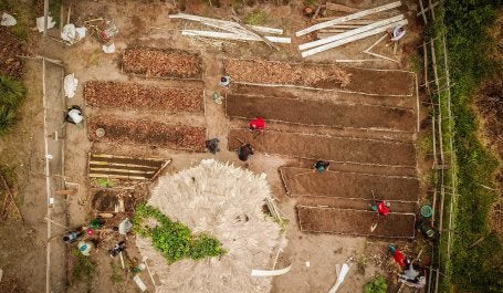 Projeto: Restauração Compatível com Igualdade de Gênero e a Mudança do Clima