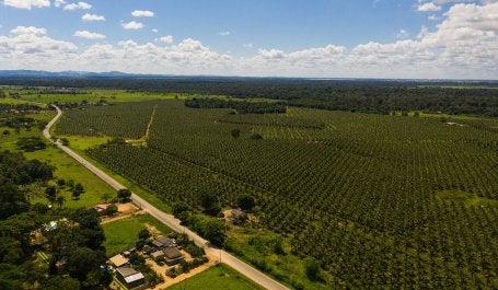 Foto drone Linhares - Espírito Santo, ES