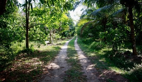 Santa Bárbara - visita 