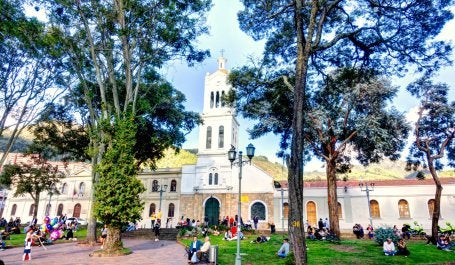 pessoas senadas ao ar livre em praça sob árvores