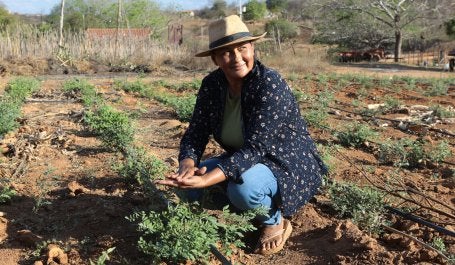 Caatinga