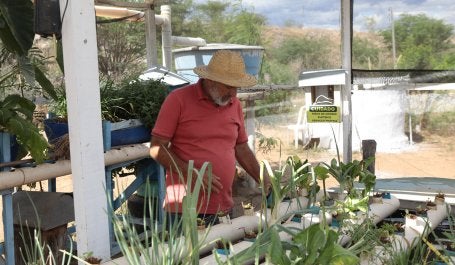 Agricultura familiar