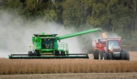 Produção de soja pode aumentar no Brasil se China aplicar tarifas ao produto americano