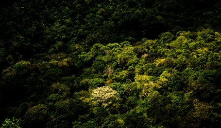 Chapada dos Guimarães, Mato Grosso, Brasil (foto: Flickr/paulisson_miura)