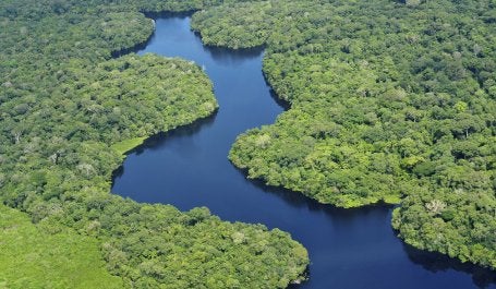 Mudanças na legislação colocam em risco a Floresta amazônica (foto: Neil Palmer/CIAT/Wikimedia Commons)