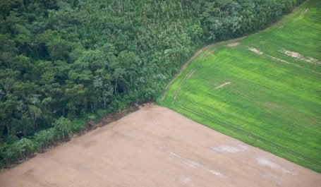 Censo Agropecuário gera informações necessárias para diminuir pressão da agricultura sobre biomas. (Foto: Sam Beebe/Flickr)