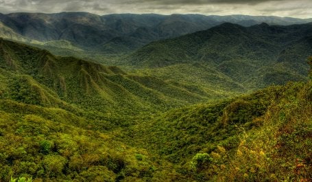Se mal desenhados, os mercados podem causar mais prejuízos do que benefícios para a atmosfera