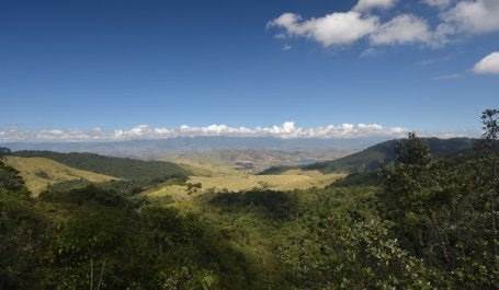 Bacia do Guandu, no Rio de Janeiro. (Foto: Marcelo Matsumoto/WRI Brasil)